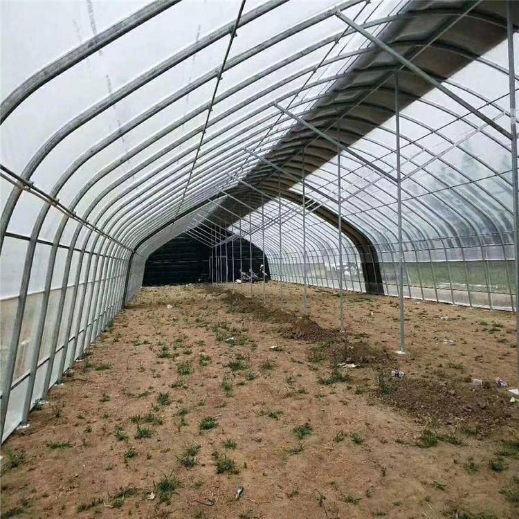 日光溫室與蔬菜大棚 從設(shè)計到建造的全方位解析